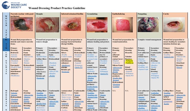 thumbnail wound dressing product 2025